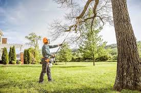 Best Lawn Pest Prevention  in Leesburg, VA
